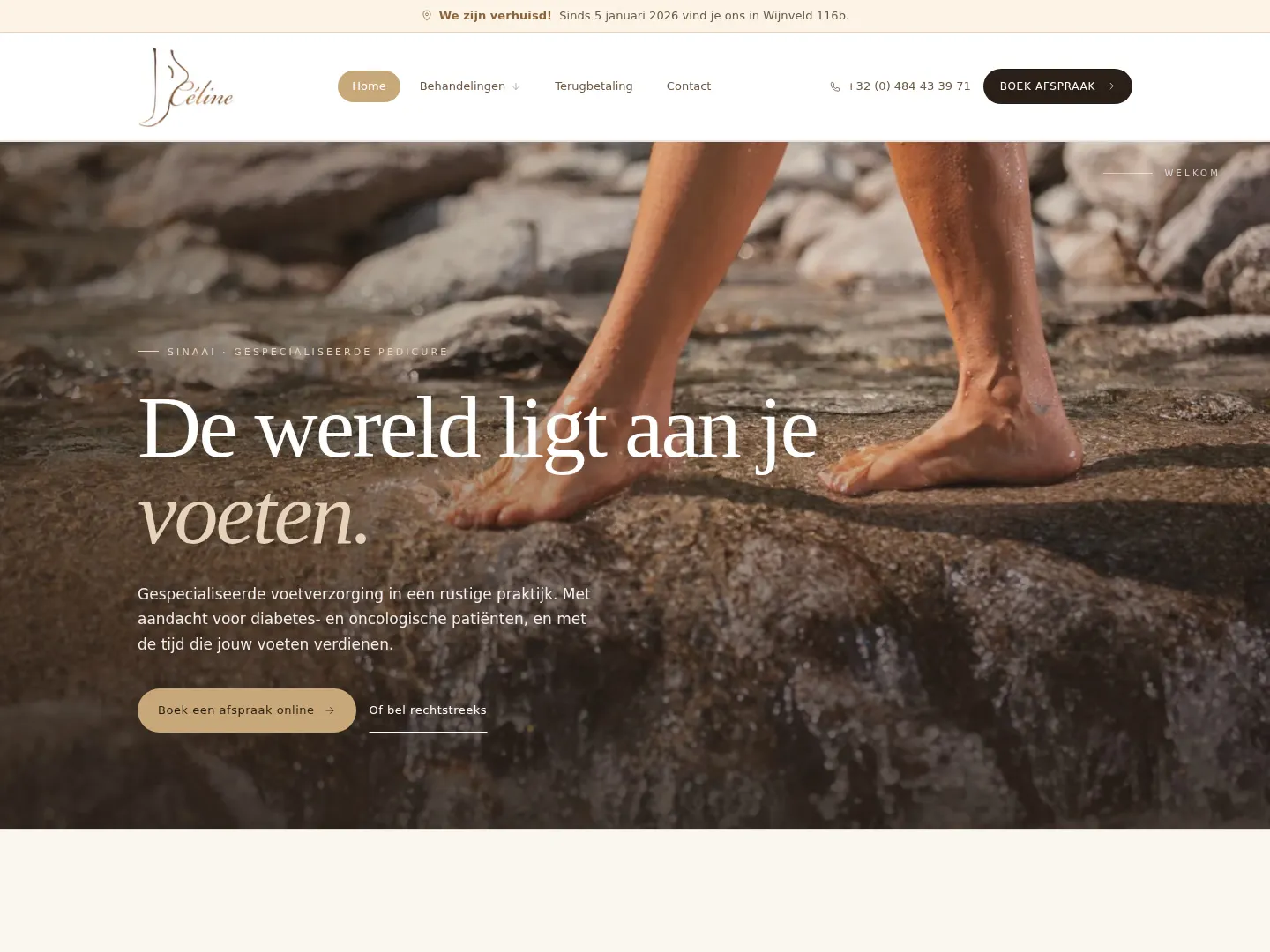 Screenshot van de website van Céline Van der Steen